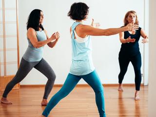 Continuum Training – The Resonant Heart Field